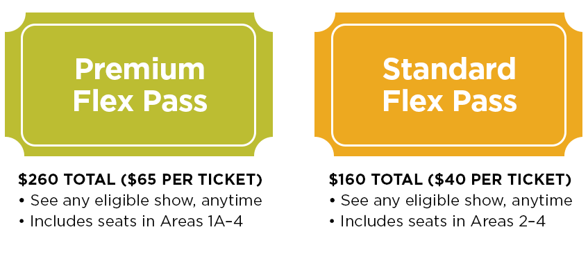 Mini Flex Pass Options